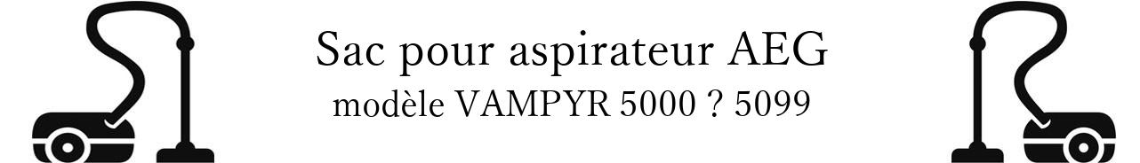 Sac aspirateur AEG VAMPYR 5000 5099 en vente