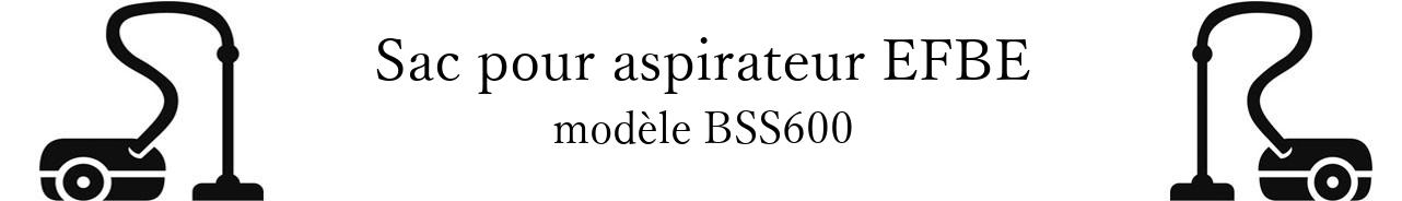 Sac aspirateur EFBE BSS600 en vente