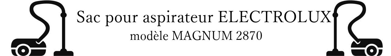 Sac aspirateur ELECTROLUX MAGNUM 2870 en vente