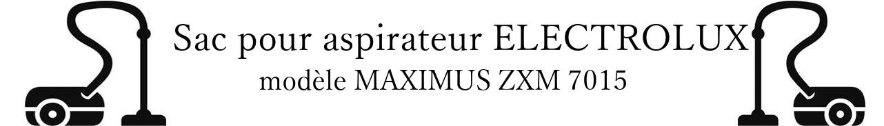 Sac aspirateur ELECTROLUX MAXIMUS ZXM 7015 en vente