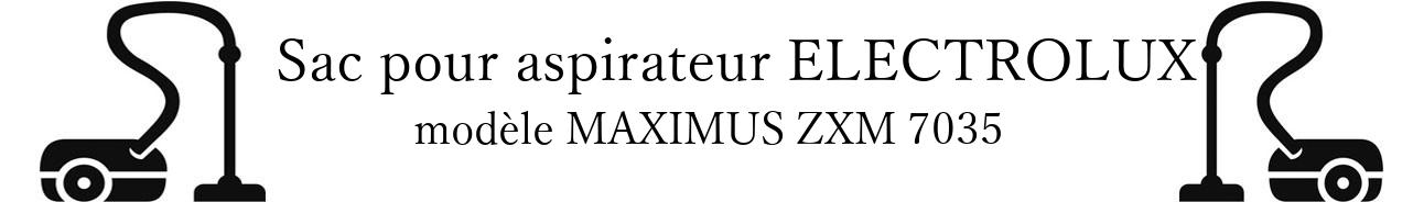 Sac aspirateur ELECTROLUX MAXIMUS ZXM 7035 en vente