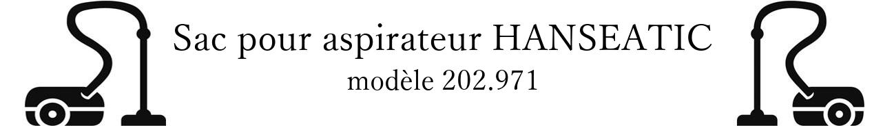 Sac aspirateur HANSEATIC 202.971 en vente
