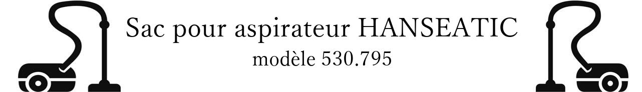 Sac aspirateur HANSEATIC 530.795 en vente