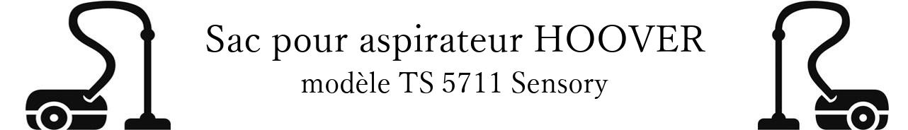 Sac aspirateur HOOVER TS 5711 Sensory en vente