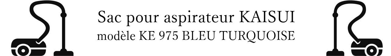 Sac aspirateur KAISUI KE 975 BLEU TURQUOISE en vente